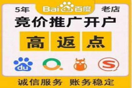 低成本高回报：百度包年竞价实战技巧揭秘